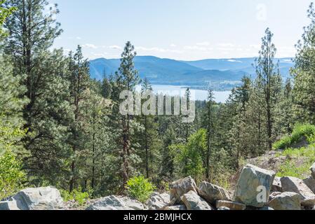 Blick auf die Höhe vom Kettle Valley Rail Trail aus Kiefernwald mit Okanagan Lake und Bergen in der Ferne Stockfoto