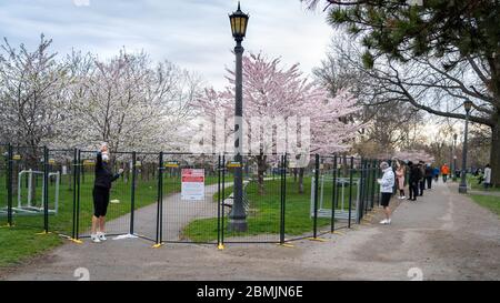 Einheimische aus Toronto fotografieren mit geschlossenen Kirschblütenbäumen im Trinity Bellwoods Park in Ontario, Kanada. Alle parken Stockfoto