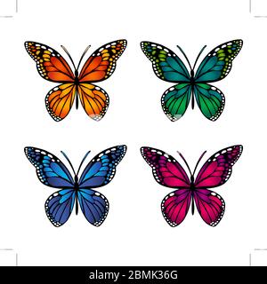 Bunte Schmetterlinge auf weißem Hintergrund Stock Vektor