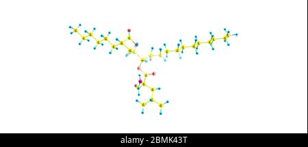 Orlistat ist ein Medikament zur Behandlung von Adipositas.ITS primäre Funktion ist die Verhinderung der Aufnahme von Fetten aus der menschlichen Ernährung. 3d-Darstellung Stockfoto