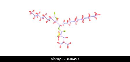 Orlistat ist ein Medikament zur Behandlung von Adipositas.ITS primäre Funktion ist die Verhinderung der Aufnahme von Fetten aus der menschlichen Ernährung. 3d-Darstellung Stockfoto