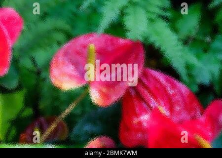 Das abstrakte mattierte Glasbild auf Anthurium ist eine rote herzförmige Blume. Dunkelgrüne Blätter als Hintergrund machen die Blumen schön hervorstechen. Stockfoto