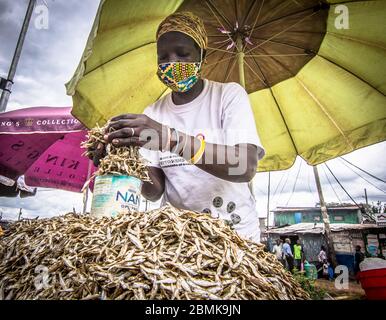 Nairobi, Kenia. Mai 2020. Ein Sardinenhändler, der als Vorsichtsmaßnahme während der Corona-Virus-Pandemie eine Gesichtsmaske trägt. Kenia hat 649 bestätigte Fälle, 207 wiedergewonnene und 30 Todesfälle durch die COVID 19-Krankheit verzeichnet. Quelle: SOPA Images Limited/Alamy Live News Stockfoto