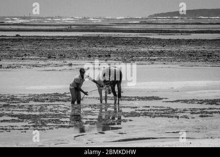 Morro de Sao Paolo bei Ebbe Stockfoto