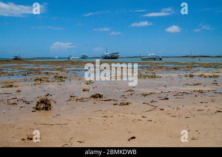 Morro de Sao Paolo bei Ebbe Stockfoto