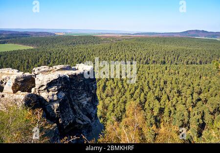 Luftaufnahme des grünen Waldes auf Schloss Regenstein. Stockfoto