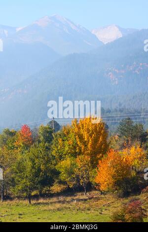 Herbst panorama Hintergrund des Pirin, Bulgarien mit bunten Grün, Rot und Gelb Bäume und Berge Gipfel Stockfoto