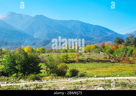 Herbst ländlichen panorama Hintergrund mit bunten Grün, Rot und Gelb Bäume und alte Bauernhof Zaun Stockfoto