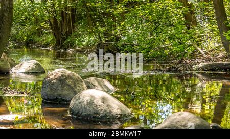 Ein kleiner Fluss umgeben von grünen Pflanzen und Bäumen. Felsen im Vordergrund. Wasser fließt ruhig im Fluss und macht große Spiegelbilder von vegata Stockfoto
