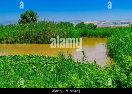Blick auf Feuchtgebiete im Hula Nature Reserve, Nord-Israel Stockfoto