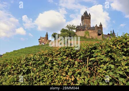 Schloss Cochem, umgeben von Weinbergen an der Mosel in Cochem, Deutschland Stockfoto