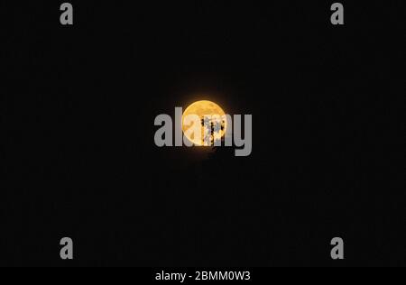 Vollmond Stockfoto