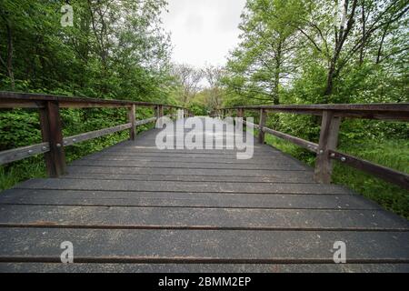 Steg zum Wasser in einem öffentlichen Park an einem regnerischen Tag Stockfoto