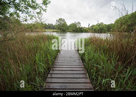 Steg zum Wasser in einem öffentlichen Park an einem regnerischen Tag Stockfoto