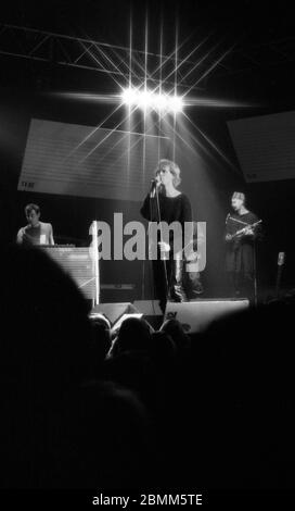 The Teardrop Explodes, Newcastle City Hall, 2. Februar 1982 Stockfoto