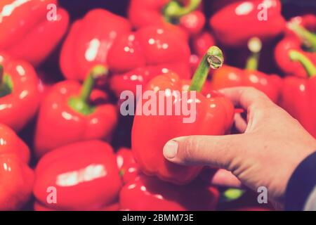 Ein Mann wählt rote Paprika in einem Lebensmittelgeschäft, auf dem Markt. Hand den Pfeffer aus einem Gemüsekorb nehmen. Die Hand des Mannes hält den roten Paprika Stockfoto
