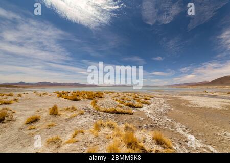 Schöne Landschaft von Laguna Chalviri, bei Aguas Termales Chalviri, im Süden Boliviens. Im Hintergrund Bolivianische Anden und Altiplano in prächtigem Stockfoto