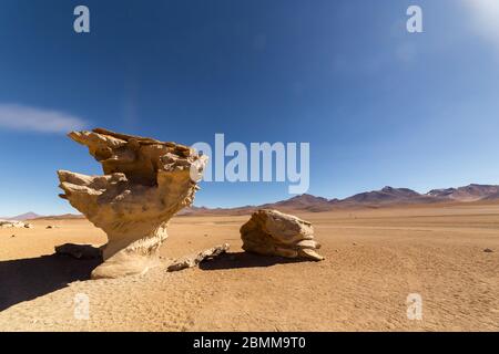 Atemberaubende Panorama-Ansicht des berühmten Arbol de piedra (Steinbaum), in der wilden Siloli-Wüste. Wunderschöne Landschaft der spektakulären bolivianischen Anden und der Altip Stockfoto