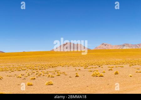 Atemberaubende Panorama-Blick auf die berühmte wilde Siloli-Wüste. Wunderschöne Landschaft der spektakulären bolivianischen Anden und der Altiplano entlang der malerischen Straße zwischen Stockfoto