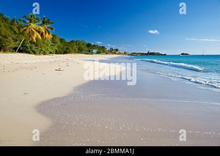 Turners Beach in Antigua mit tiefblauem Himmel und türkisfarbenem Wasser. Stockfoto