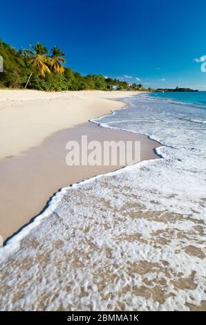 Der wunderschöne Turner's Beach in Antigua mit tiefblauem Himmel und Palmen. Stockfoto