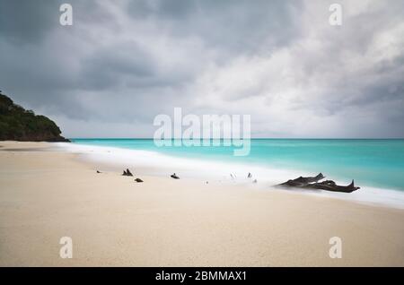 Driftwood am Ffryes Beach in Antigua bei einem Sturm. Aufnahme mit langer Belichtung. Stockfoto