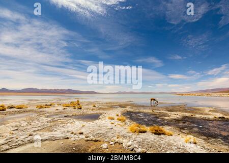 Schöne Landschaft von Laguna Chalviri, bei Aguas Termales Chalviri, im Süden Boliviens. Im Hintergrund Bolivianische Anden und Altiplano in prächtigem Stockfoto