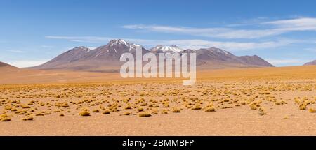 Atemberaubende Panorama-Blick auf die berühmte wilde Siloli-Wüste. Wunderschöne Landschaft der spektakulären bolivianischen Anden und der Altiplano entlang der malerischen Straße zwischen Stockfoto