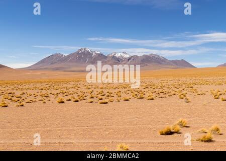 Atemberaubende Panorama-Blick auf die berühmte wilde Siloli-Wüste. Wunderschöne Landschaft der spektakulären bolivianischen Anden und der Altiplano entlang der malerischen Straße zwischen Stockfoto