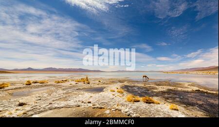 Schöne Landschaft von Laguna Chalviri, bei Aguas Termales Chalviri, im Süden Boliviens. Im Hintergrund Bolivianische Anden und Altiplano in prächtigem Stockfoto