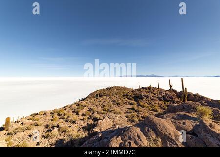 Incahuasi Insel (Kaktusinsel) auf Salar de Uyuni, der weltweit größten Salzfläche, in Bolivien Stockfoto