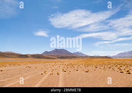 Atemberaubende Panorama-Blick auf die berühmte wilde Siloli-Wüste. Wunderschöne Landschaft der spektakulären bolivianischen Anden und der Altiplano entlang der malerischen Straße zwischen Stockfoto