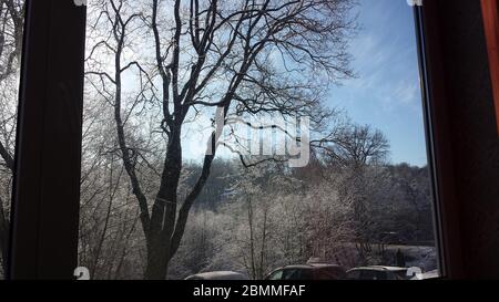 Sonnenaufgang im Winter mit etwas Frost auf den Bäumen Stockfoto