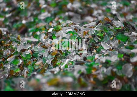 Muscheln, Steine und Kristalle, abgerundet durch die Erosion des Meeres Los Cristales Beach, Galicien. Spanien. Stockfoto