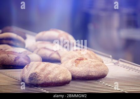 Verschiedene Arten von frischen traditionellen Broten in der Bäckerei. Stockfoto