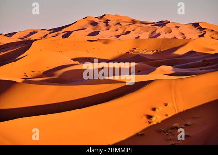 Marokko, Tafilalet Region, Merzouga Wüste, erg Chebbi Dünen Stockfoto