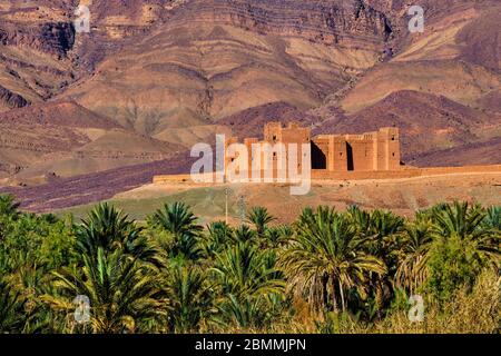 Maroc, Haut-Atlas, vallée du Draa, Kasbah Tamnougalt // Marokko, hoher Atlas, Draa-Tal, Kasbah Tamnougalt Stockfoto