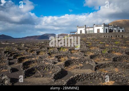 Lanzarote, SPANIEN - 12. Dezember 2017: Weinberge und Weingut La Geria auf vulkanischem Boden auf Lanzarote, Kanarische Inseln. Stockfoto