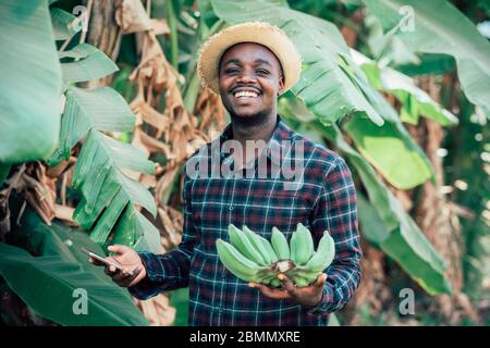 Afrikanischer Bauer Mann mit Smartphone und Banane auf Bio-Farm mit Lächeln und glücklich.Landwirtschaft oder Anbaukonzept Stockfoto