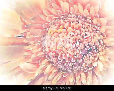 Gerbera Daisy digitales Aquarell in Pastelltönen von Orange und Gelb. Dezent femininer Hintergrund für Geschenkkarten und Einladungen. Stockfoto
