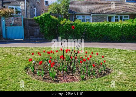 Bedfordshire Dorf grün mit Erinnerung tommy Soldat Silhouette von roten Tulpen umgeben Stockfoto