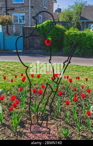 Bedfordshire Dorf grün mit Erinnerung tommy Soldat Silhouette von roten Tulpen umgeben Stockfoto