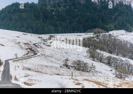 Snowy Hillside und Curvy Road in Redwood Foothills Stockfoto