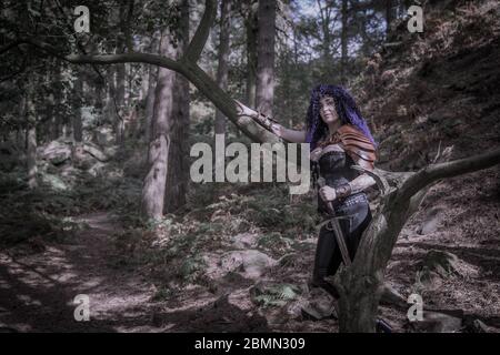 Die Scheidenjungfer im Wald Stockfoto