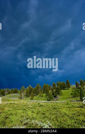 Im Sommer ziehen Gewitterwolken über dem Yellowstone Hill Stockfoto