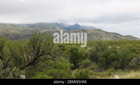 Die Chisos Mountains im Big Bend National Park in Texas sind vulkanischen Ursprungs Stockfoto
