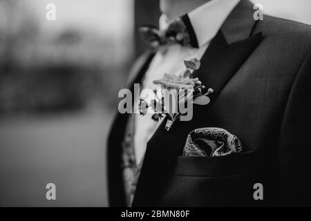 Boutonniere, Bräutigam trägt Blumen auf seiner Jacke Stockfoto