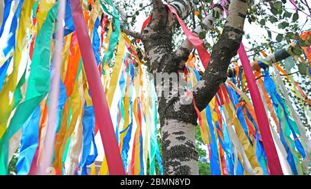 Maibaum mit bunten Bändern Stockfoto