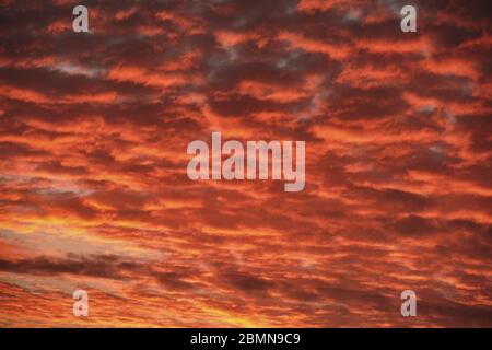 Roter goldfarbiger Himmel - Interessantes Wolkenmeer Stockfoto