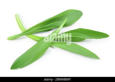 Ramson Blätter isoliert auf weißem Hintergrund mit Beschneidungspfad und voller Schärfentiefe, Draufsicht. Flaches Lay Stockfoto